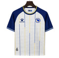 Bosnia WC 26 Away