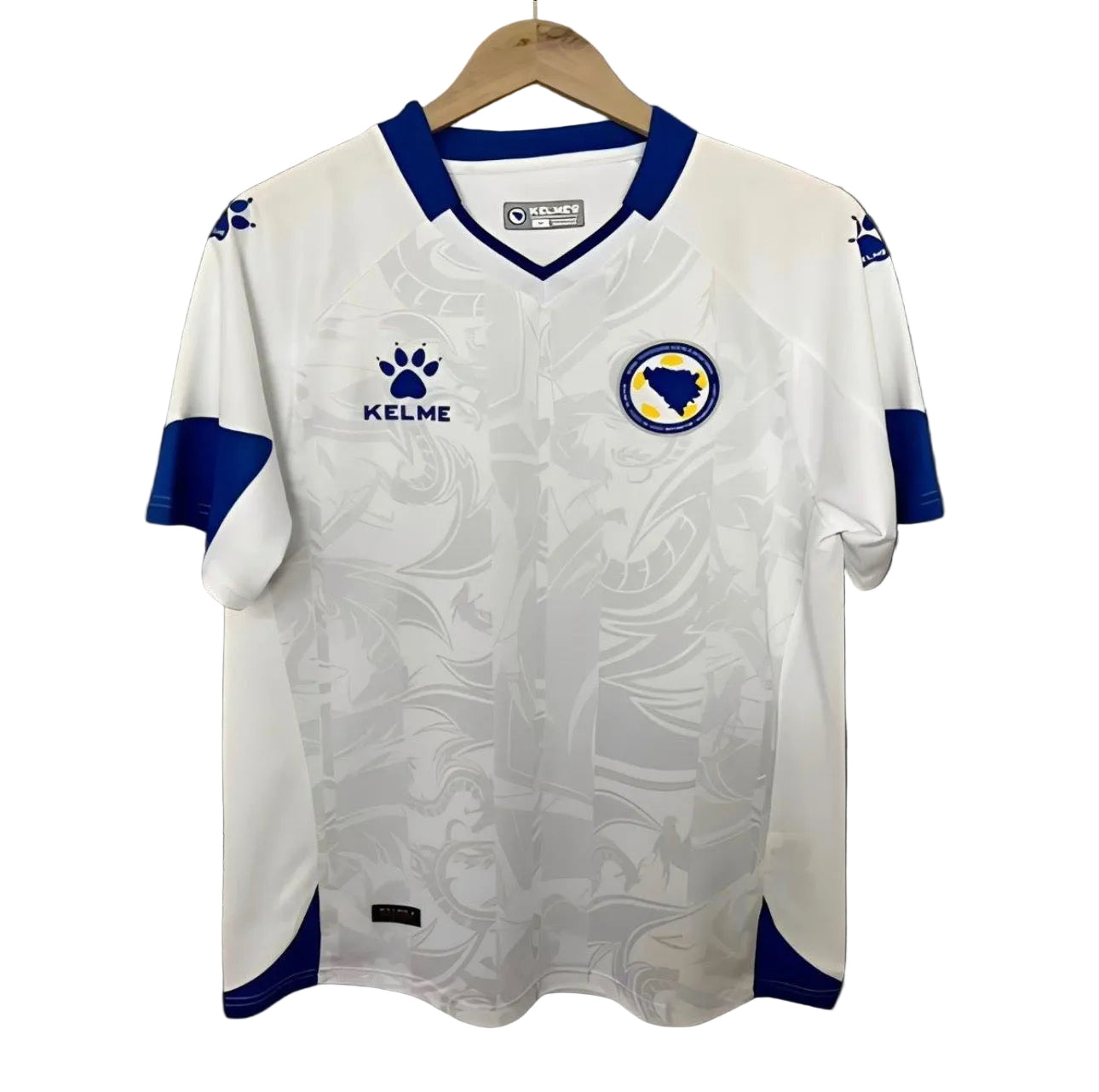 Bosnia WC 26 Home